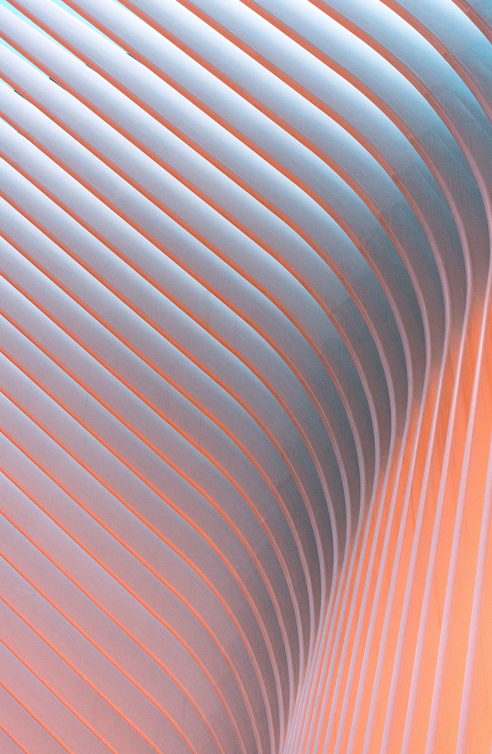 NFT-token5.jpg